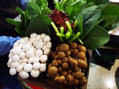 -新辣道鱼火锅(西直门店)