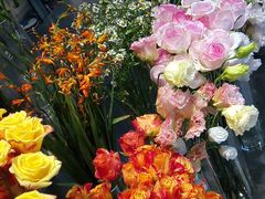 -植物学家的女儿(北马道巷店)