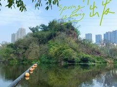 -重庆彩云湖湿地公园