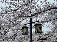 -苏州上方山国家森林公园