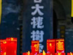 -大槐树寻根祭祖园