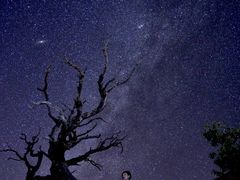 -莫纳克亚山天文台