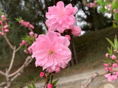-颐和园