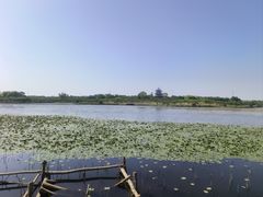 -上海海湾国家森林公园