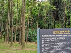 -上海月湖雕塑公园