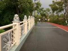 -上海长兴岛郊野公园