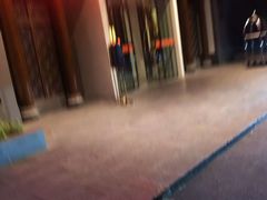 -同庆楼(花园店)