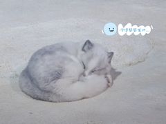 -珠海长隆海洋王国