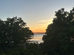 -宝安西湾红树林湿地公园