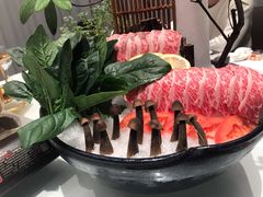 -黛瓦里·花园飨宴