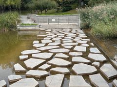 -大望京公园