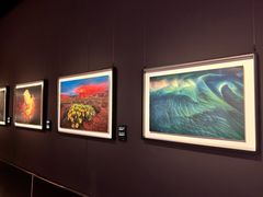 -罗红摄影艺术馆