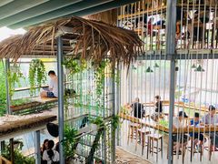 大堂-Rainforest
