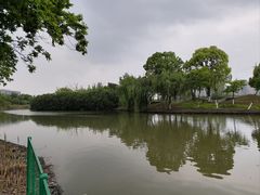 -江滩湿地公园