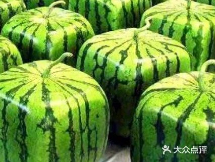 四角西瓜，又成正方体西瓜，昂贵罕见的西瓜品种
