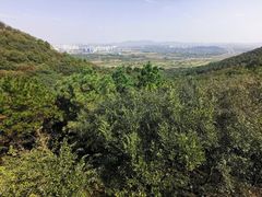 -南京市无想山景区