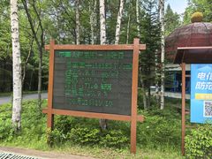 -汤旺河林海奇石景区