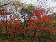 -玉渡山自然风景区