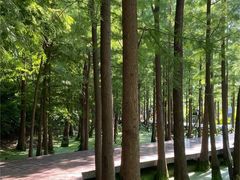 -云龙山