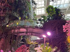 -正佳雨林生态植物园