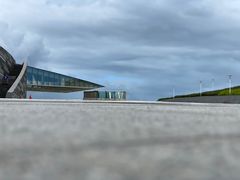-野狸岛