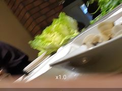 -河内西湖莲花自助餐厅