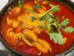 芸豆肥肠-阆中马记特色砂锅(新村路西段店)