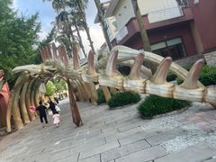 -重庆海昌加勒比海水世界
