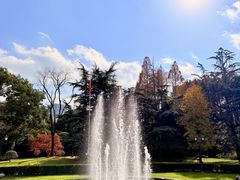 -棕榈岛海鲜自助餐厅(虹桥迎宾馆店)