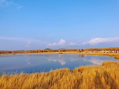 -塞罕坝国家级自然保护区