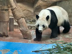 -成都动物园