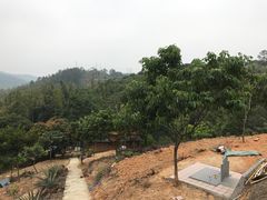 自有山地-彩虹桥宠物火化殡葬善终服务(金乐大厦店)