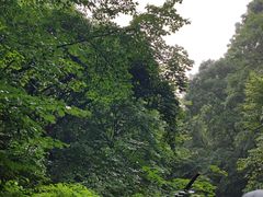 -本溪汤沟绿石谷森林公园