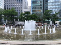 -大通公园