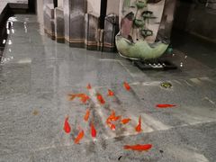 -新沸腾鱼乡(世贸天阶店)