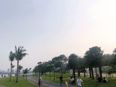 -野狸岛