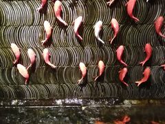 -小龙坎老火锅(西安路店)