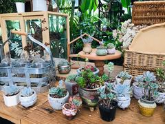 -北马山庄植趣咖啡