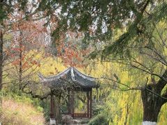 -瀛洲公园