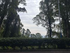 -火炉山森林公园