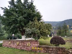 -铁山坪森林公园