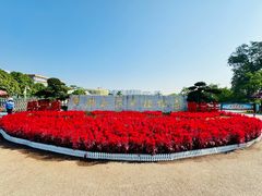 -广西壮族自治区药用植物园