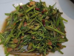 -滇铺子·云南特色菜·第九届野生菌美食节(东风东路c86店)