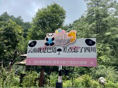 -云南野生动物园