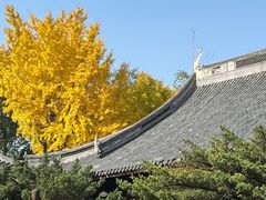 -龙华寺