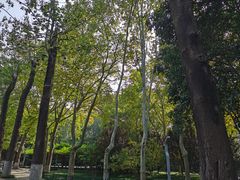 -西安市长乐公园