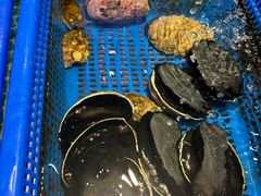 -驻海渔市(置信店)