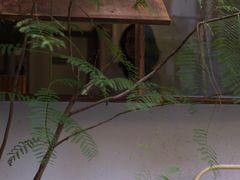 -Kekimatata 生日蛋糕·烘焙教学