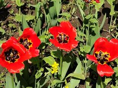 -长春公园(普阳街道)