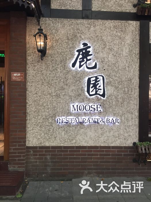 鹿园moose图片 第1159张